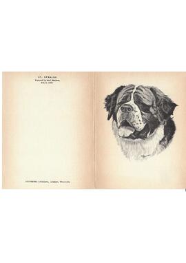 Cartão-postal de Amanda [s. d.].